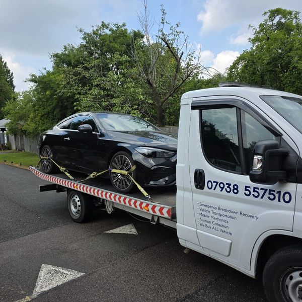 auto transport bid