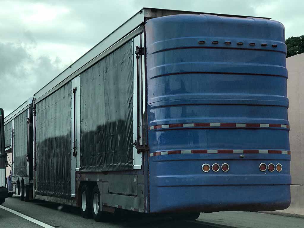 enclosed carrier